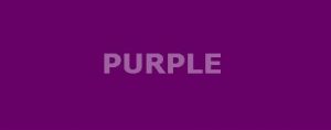 Purple Canvas Prints