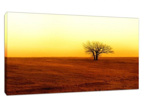Lonely Tree Featured Product Canvas