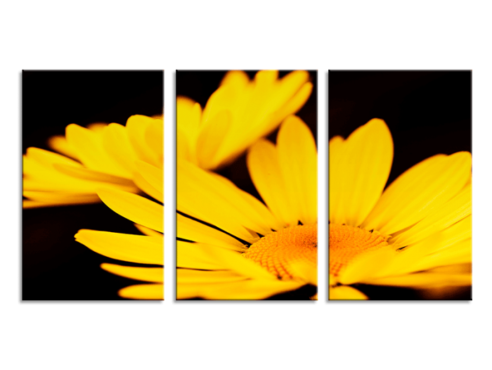 Yellow Flowers 3 Panel Canvas Picture