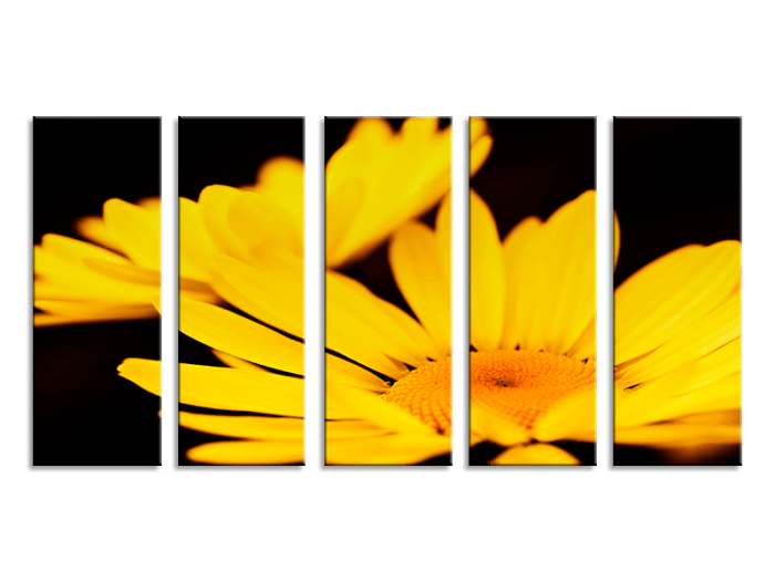 Yellow Flowers 5 Panel Straight Canvas Picture