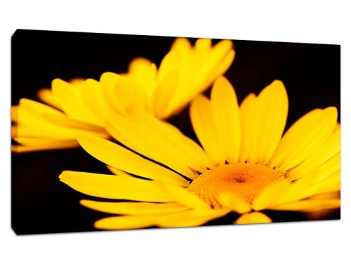Yellow Flowers Featured Product Canvas